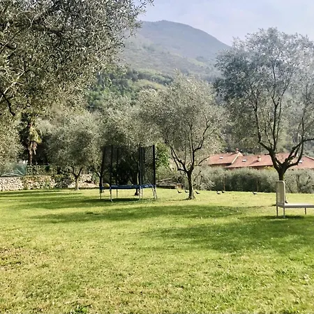 Chiara - * Arco